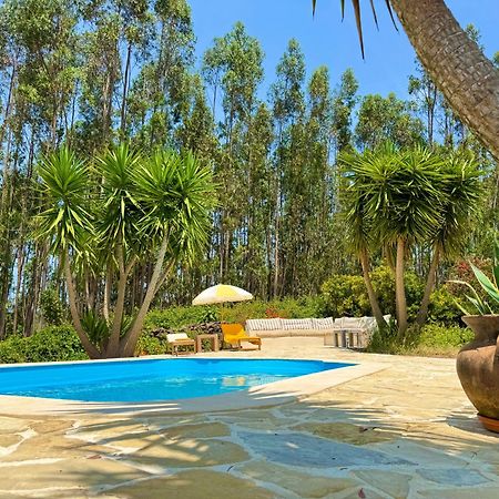 Wellbeing Guesthouse Casa E Connosco Alvaiázere Eksteriør bilde