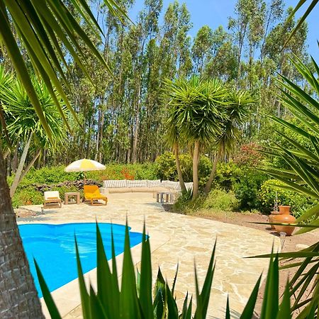 Wellbeing Guesthouse Casa E Connosco Alvaiázere Eksteriør bilde