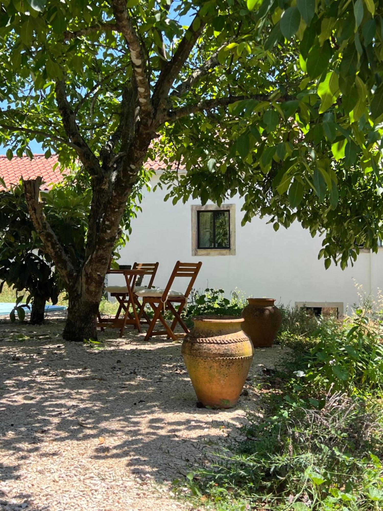 Wellbeing Guesthouse Casa E Connosco Alvaiázere Eksteriør bilde
