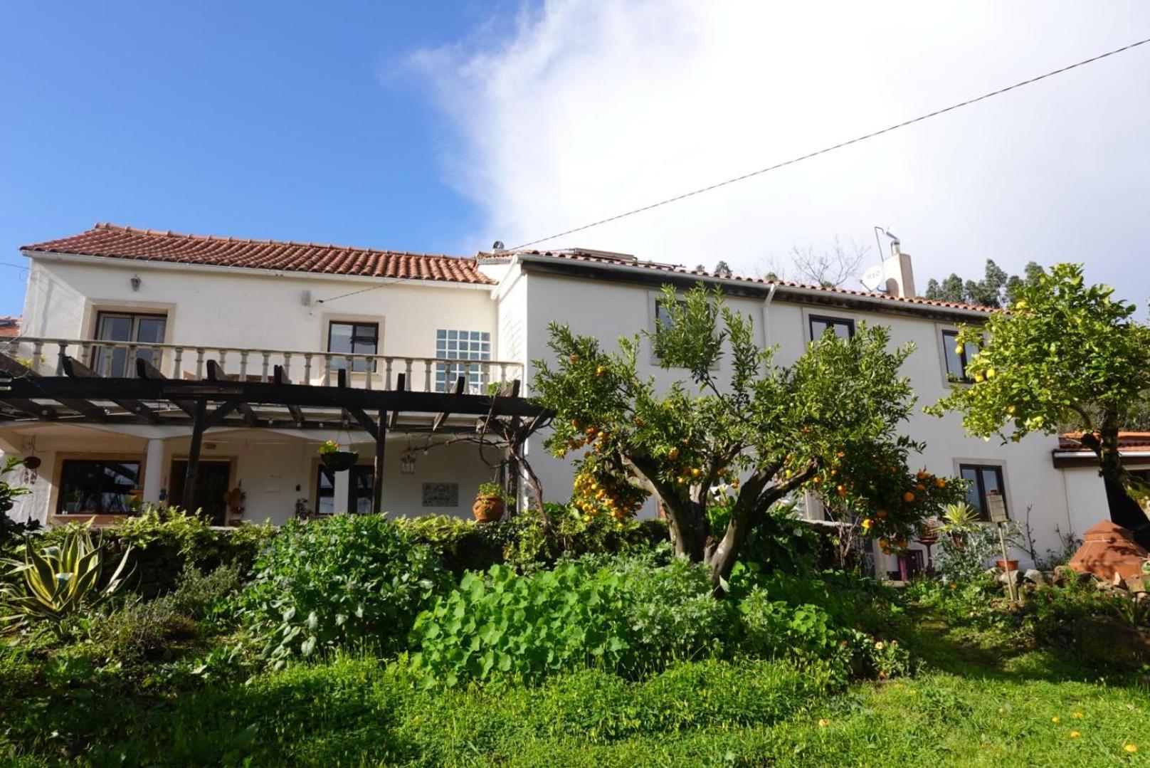 Wellbeing Guesthouse Casa E Connosco Alvaiázere Eksteriør bilde