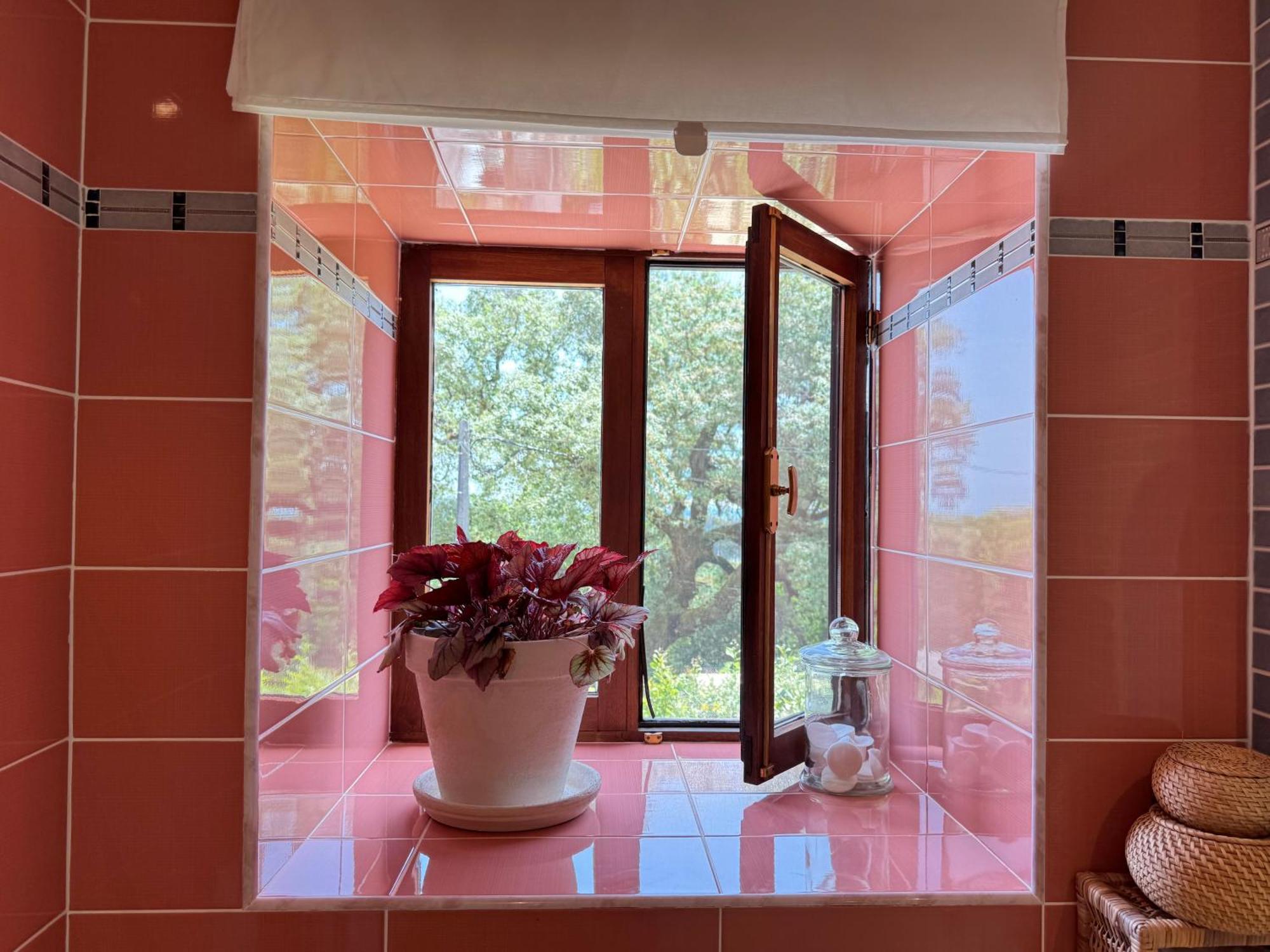 Wellbeing Guesthouse Casa E Connosco Alvaiázere Eksteriør bilde