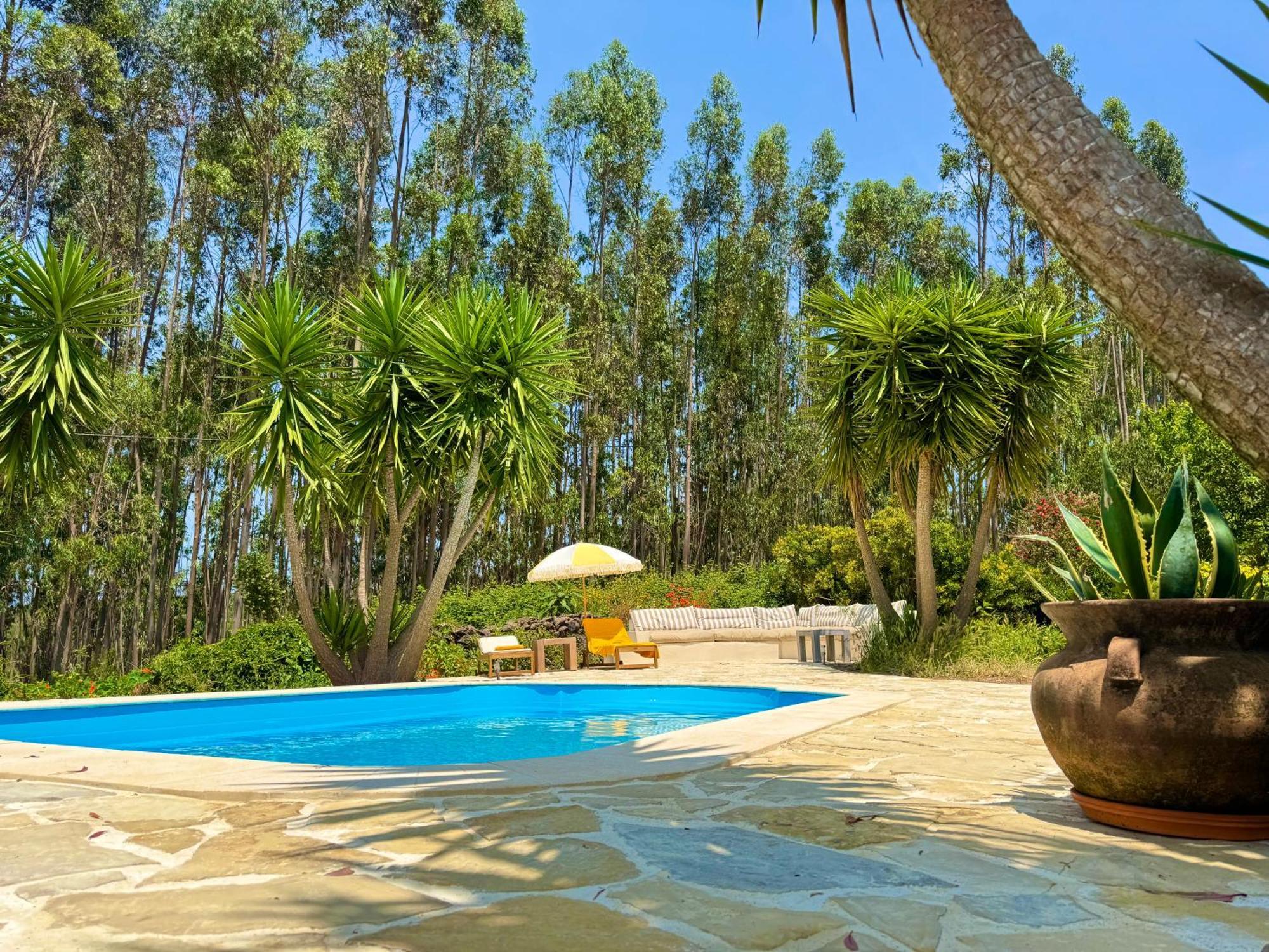 Wellbeing Guesthouse Casa E Connosco Alvaiázere Eksteriør bilde